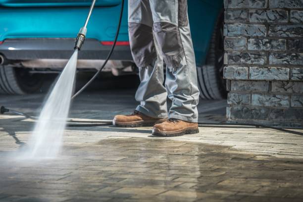 Best Roof Washing  in Walton Park, NY