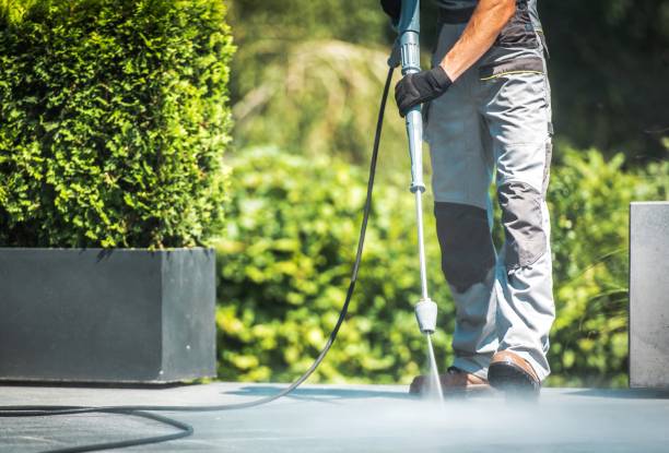 Best Animal Enclosure Cleaning  in Walton Park, NY